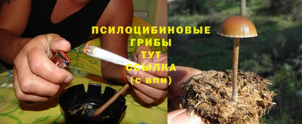 гидропоника Нея