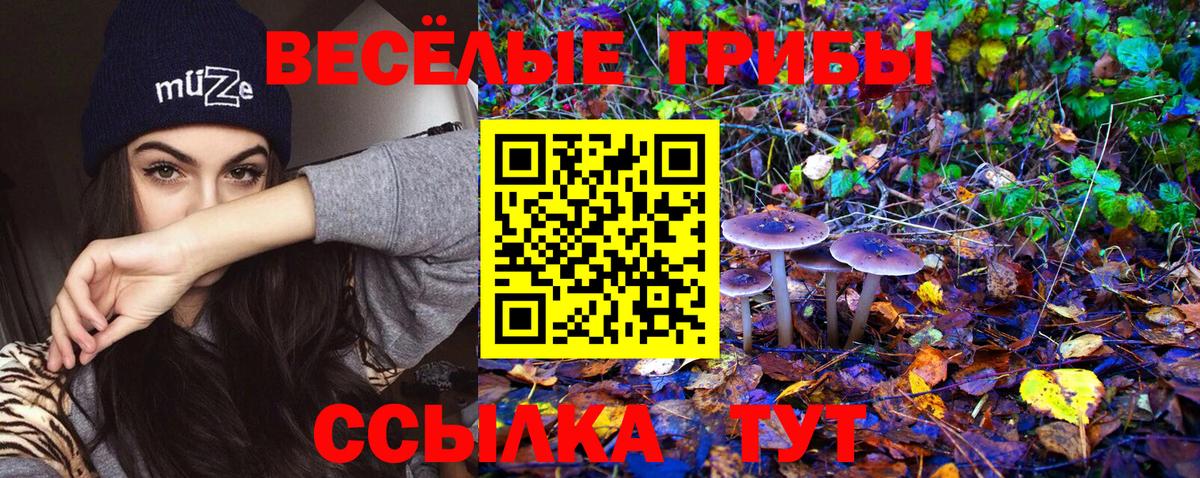 Псилоцибиновые грибы ЛСД Ставрополь