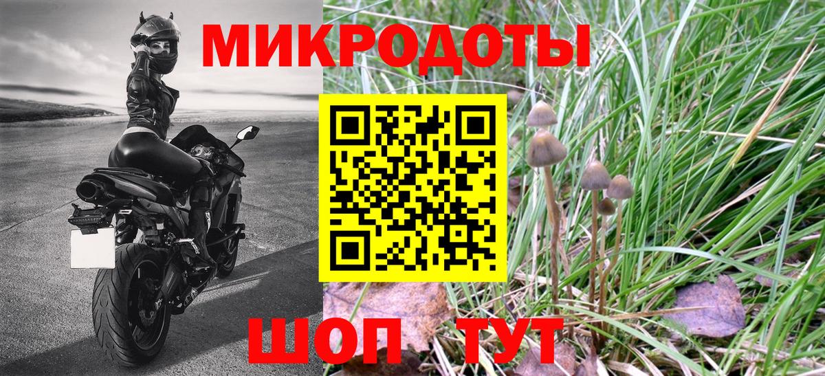 Галлюциногенные грибы MAGIC MUSHROOMS Ставрополь