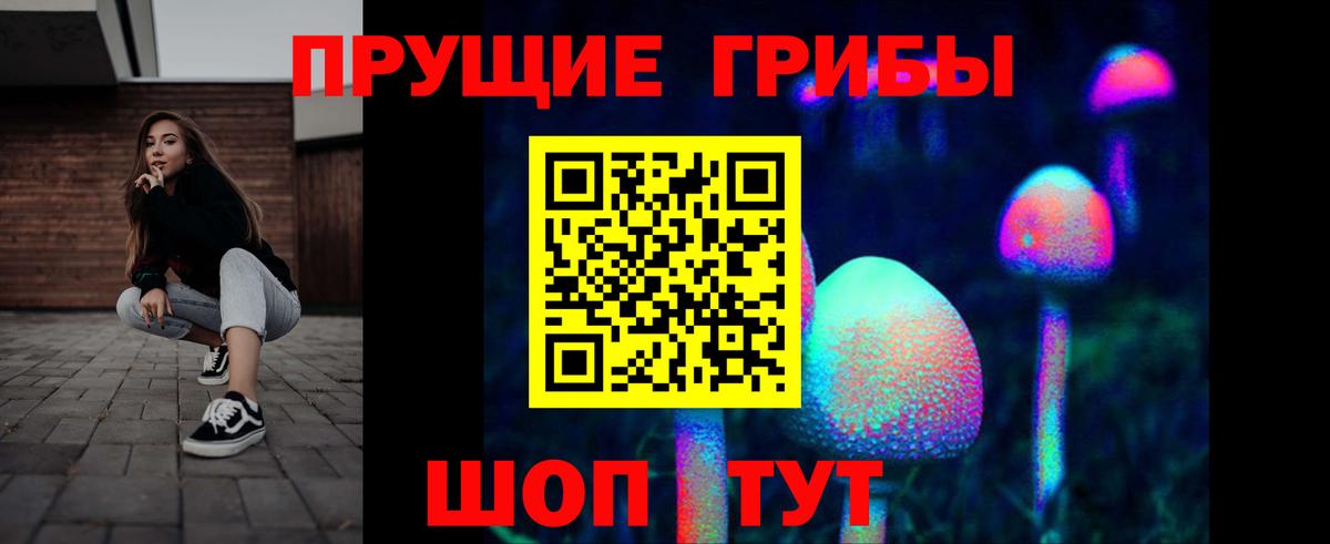 Галлюциногенные грибы Magic Shrooms  Вход с VPN  Ставрополь 